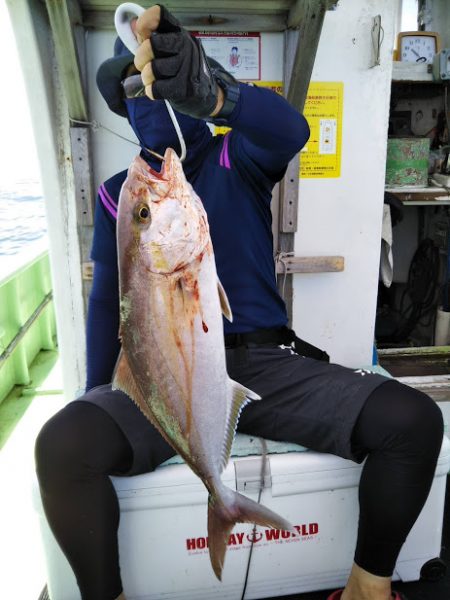 康仁丸＃ジギング釣り果